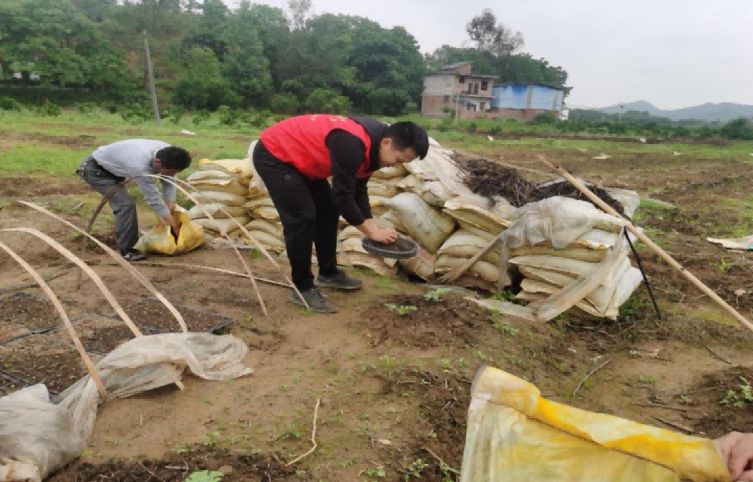 1651454785105290.png 640 (2)(1).png